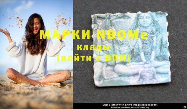 шишки Бородино