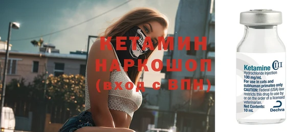 шишки Бородино