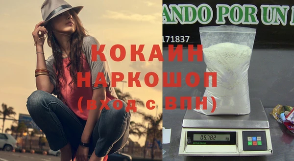 шишки Бородино