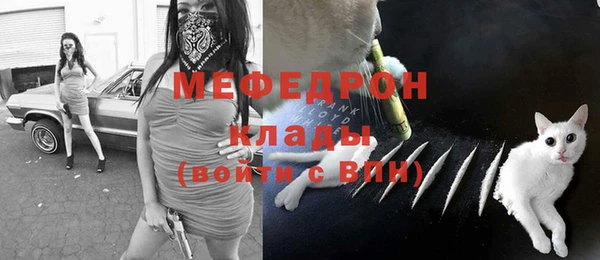 шишки Бородино
