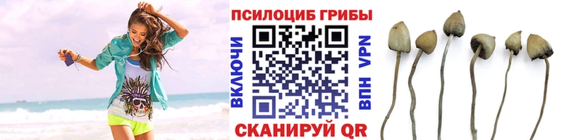 Галлюциногенные грибы ЛСД  Купить где  Железноводск 